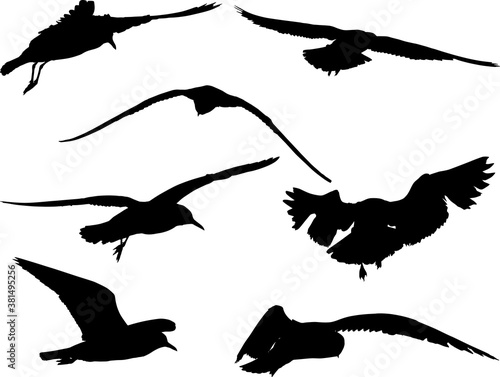 set of seven isolated seagull silhouettes