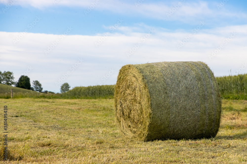 Heuballen auf dem Feld