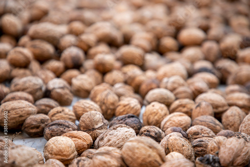 Organic fresh walnuts with shells laid on the floor to dry