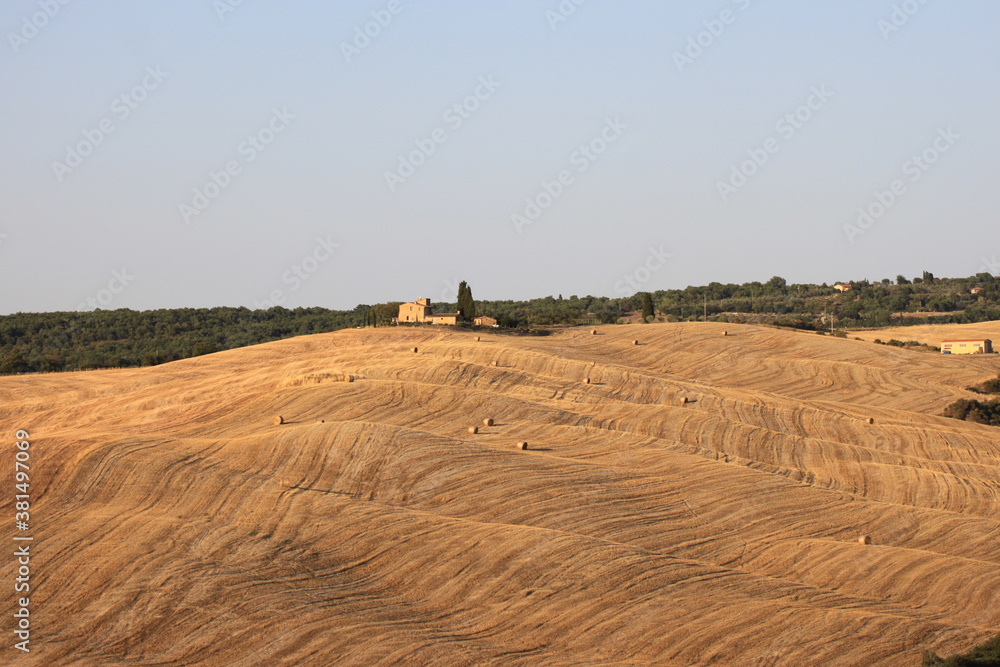 Obraz premium Crete der Toscana