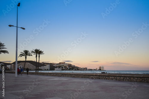 Palm trees on the coast