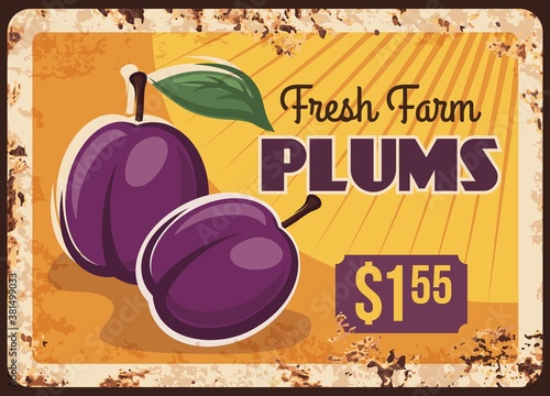 Plums rusty metal plate, fruits food farm market price menu, vector vintage poster. Natural organic plum fruits, agriculture and garden food market price card sign with rust