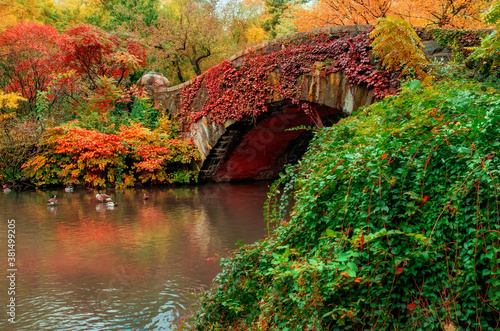 view of autumn landscape in Central Park. New York City. USA © Belikova Oksana