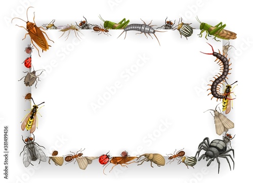 Frame with insects vector bedbug, flea and cockroach with ant, wasp, fly and, mosquito. Aphid, locust and colorado beetle with spider and ladybug. Weevil, silverfish and moth with mole cartoon border