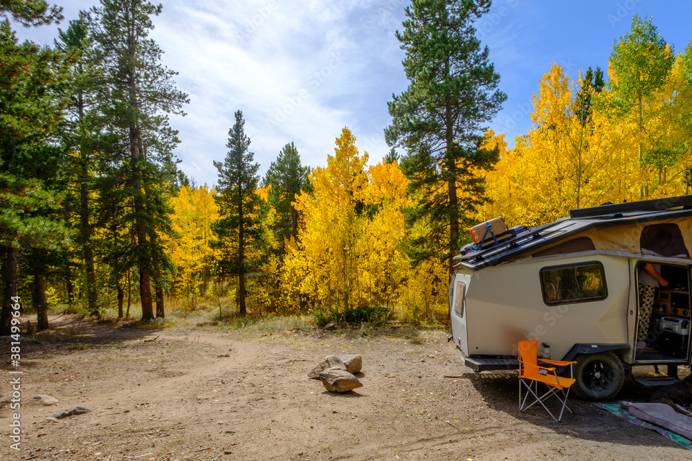 A hiking trail passes through a dispersed campsite in fall with changing aspen trees located outside of Nederland, Colorado
