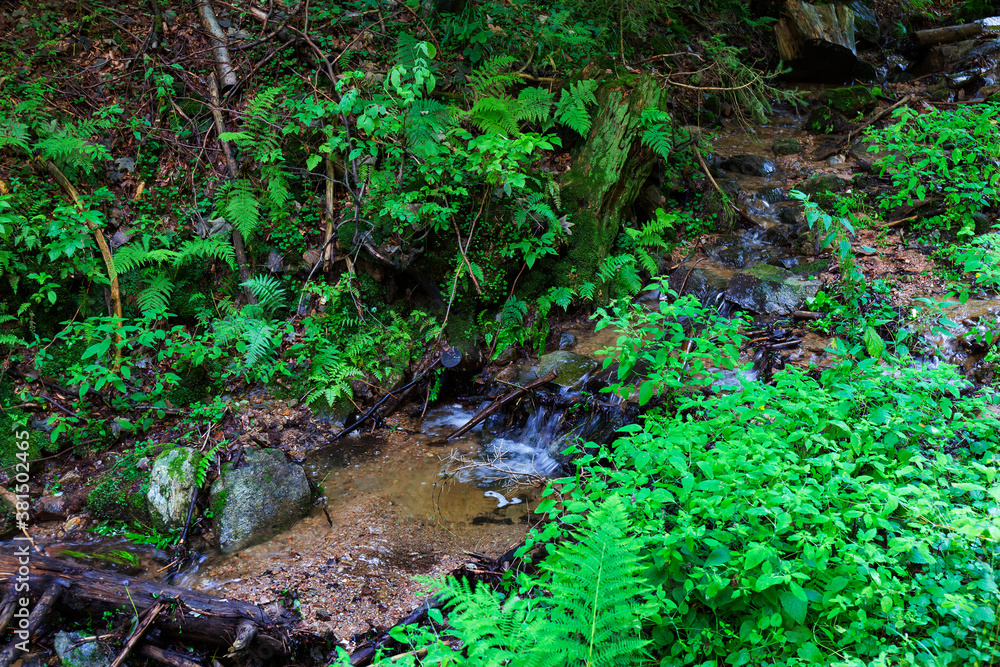 Beautiful clean Landscape in the Rychlebske Mountains, Northern Moravia, Czech Republic