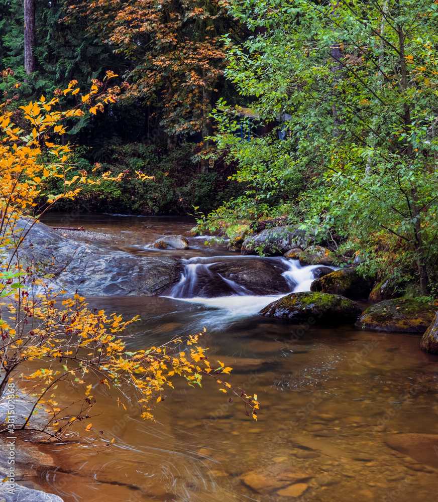 Stream surrounded by Autumn colors