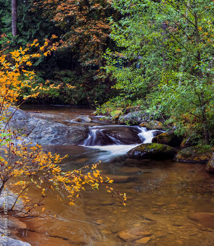 Obraz na płótnie Stream surrounded by Autumn colors w salonie