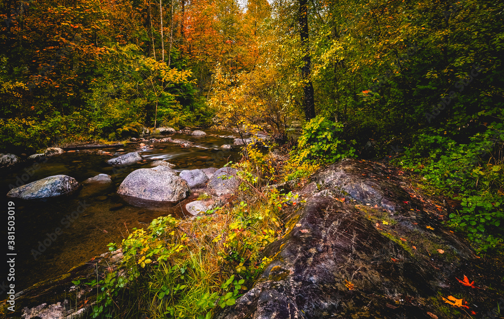 Beautiful Autumn colors along stream