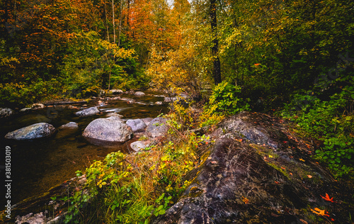 Obraz na płótnie Beautiful Autumn colors along stream w salonie