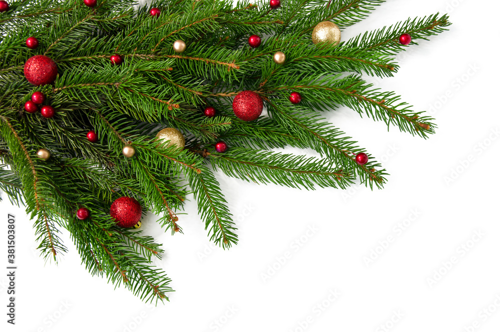 Christmas branch of a natural tree with red and gold balls on a white background close-up. Isolate Christmas branch of a natural tree with red and gold balls on a white background close-up. Isolate