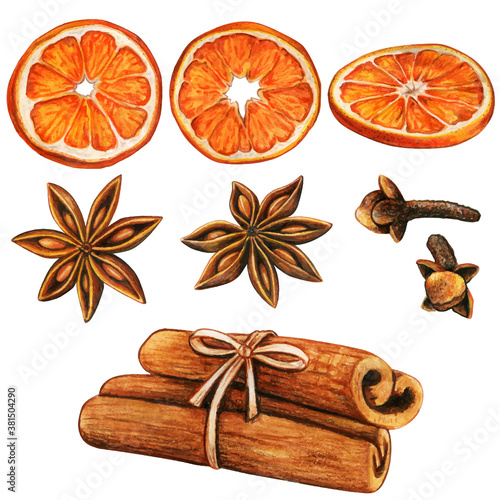 Watercolor high quality winter spices and orange slices