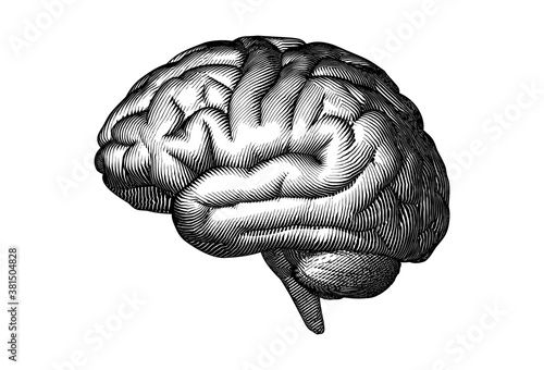 Black woodcut drawing brain isolated on white BG