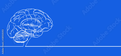 Human brain anatomy doodling drawing isolated on blue BG photo