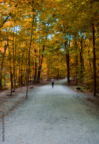 Beautiful Path in Toronto