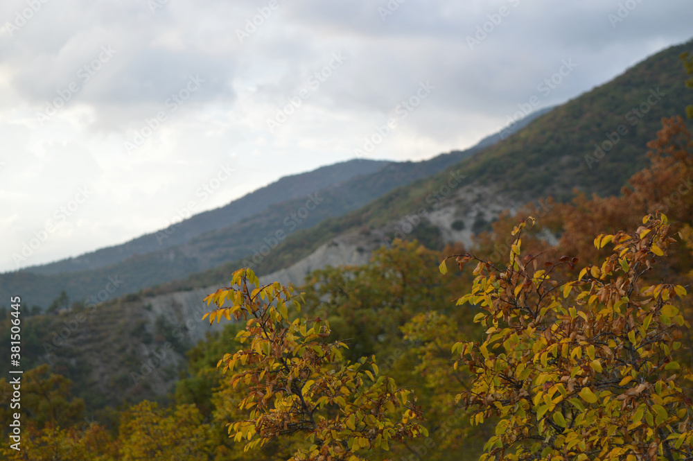 Obraz premium view of mountains and Gelendzhik, Russia.