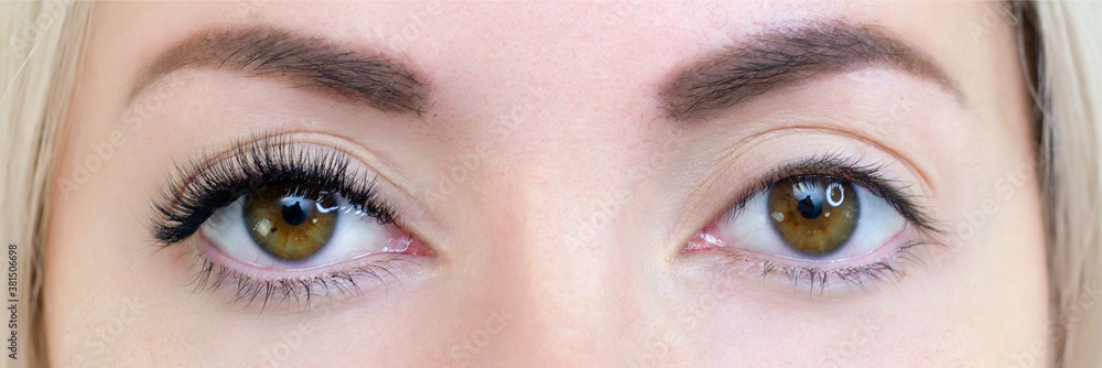 Fototapeta premium Eyelash extension procedure. Woman eye with long eyelashes. Close up