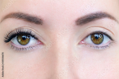 Eyelash extension procedure. Woman eye with long eyelashes. Close up