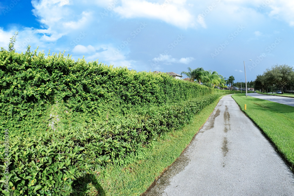 Naklejka premium community, white cloud and blue sky in summer