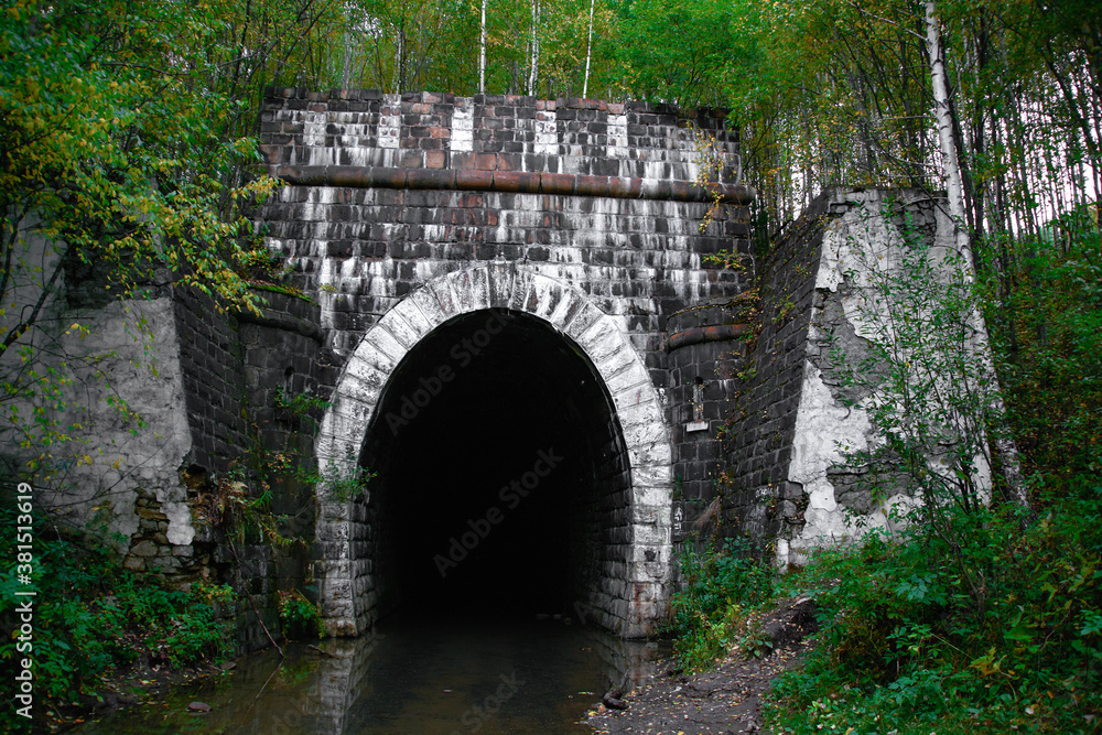 abandoned old military tunnel in the forest.