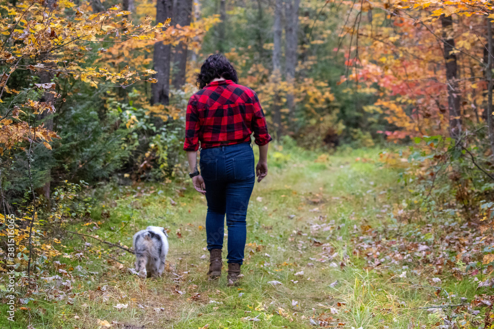walking in the woods walking in the woods