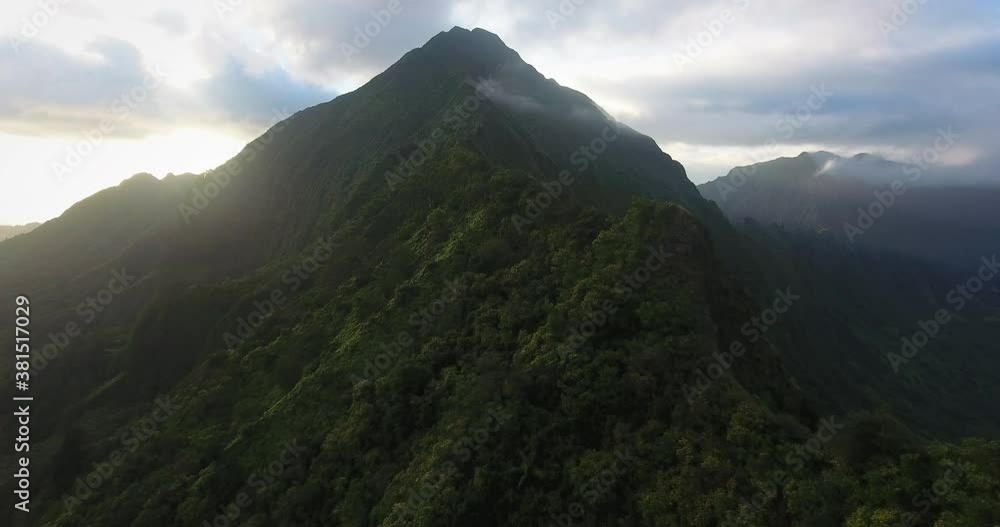 Wide aerial, tropical mountain forest in Hawaii Wide aerial, tropical mountain forest in Hawaii
