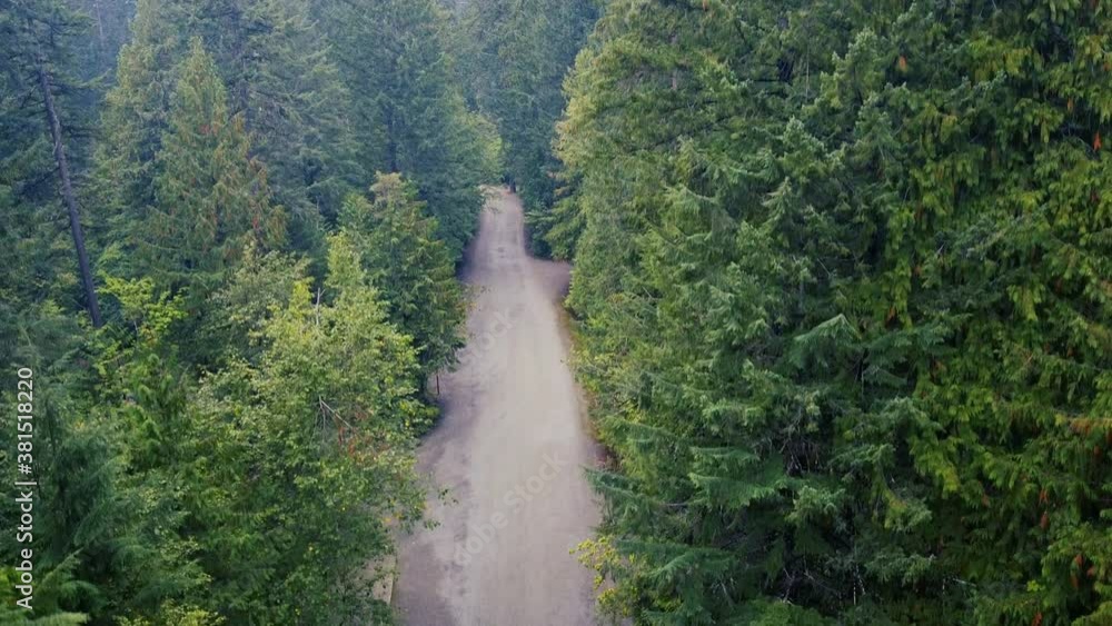 Empty gravel road on the campsite in the middle of forest Empty gravel road on the campsite in the middle of forest