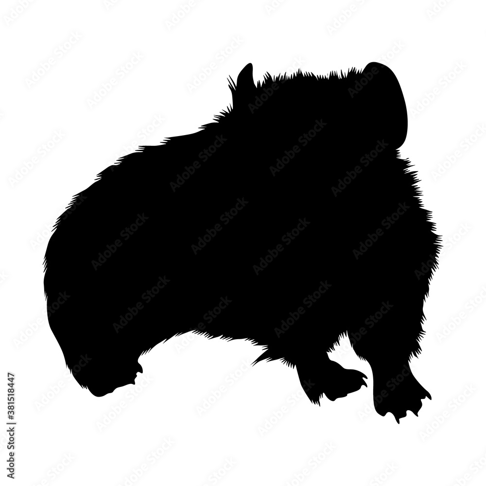 Pika (Ochotona Minor) Standing On a Front View Silhouette Found In Map Of Asia,Europe And North America. Good To Use For Element Print Book, Animal Book and Animal Content Pika (Ochotona Minor) Standing On a Front View Silhouette Found In Map Of Asia,Europe And North America. Good To Use For Element Print Book, Animal Book and Animal Content