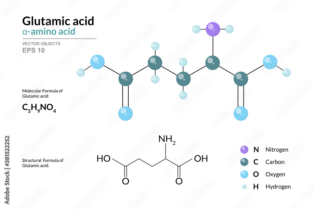 Glutamic acid. Glu C5H9NO4. α-Amino Acid. Structural Chemical Formula and Molecule 3d Model. Atoms with Color Coding. Vector Illustration Glutamic acid. Glu C5H9NO4. α-Amino Acid. Structural Chemical Formula and Molecule 3d Model. Atoms with Color Coding. Vector Illustration