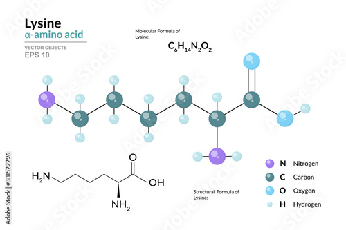 Lysine. Lys C6H14N2O2. α-Amino Acid. Structural Chemical Formula and Molecule 3d Model. Atoms with Color Coding. Vector Illustration photo
