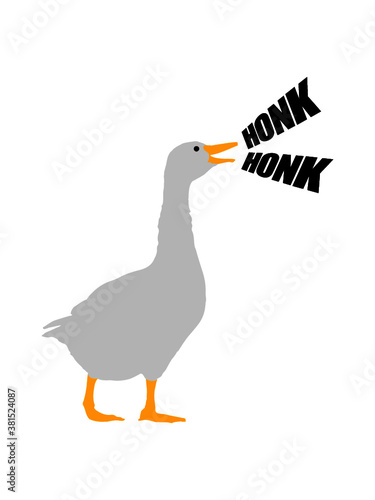 Honk Honk Gans 