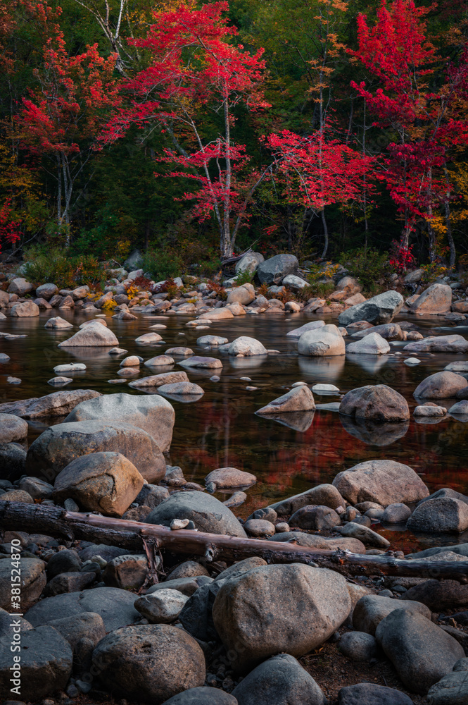 Fall Foliage In North Conway, New Hampshire