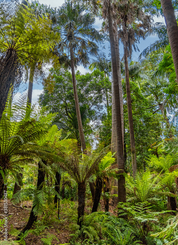 Beautiful park lands and lakes at the Melbourne Botanical Gardens.