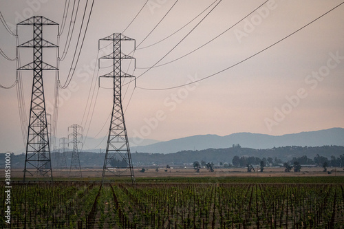 power lines in the field