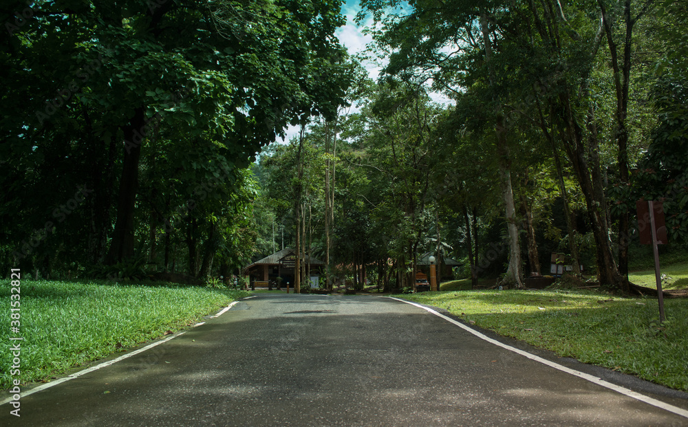 Road lines in the park or natural attractions, forests