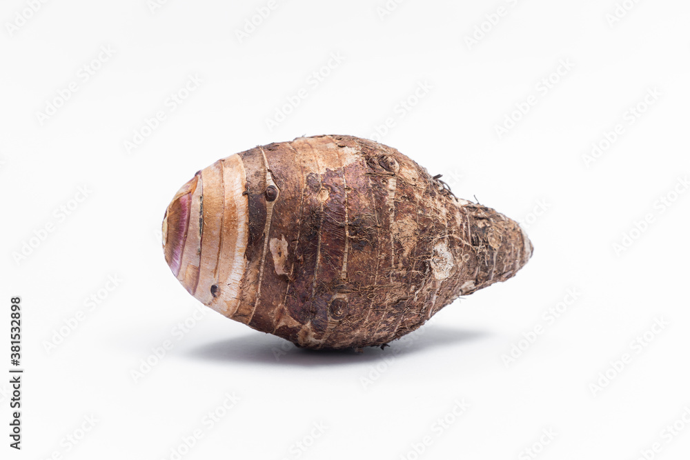 Taro fruit that has not been peeled separately isolated on white background Taro fruit that has not been peeled separately isolated on white background