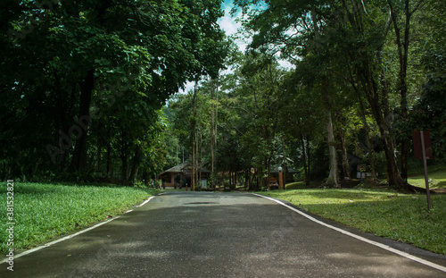 Road lines in the park or natural attractions, forests
