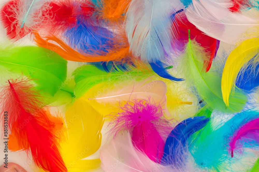 Many colorful feather texture Many colorful feather texture