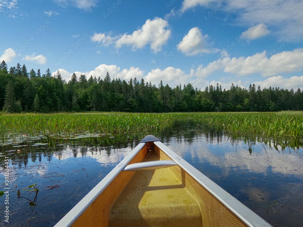 Canoe in weedy river