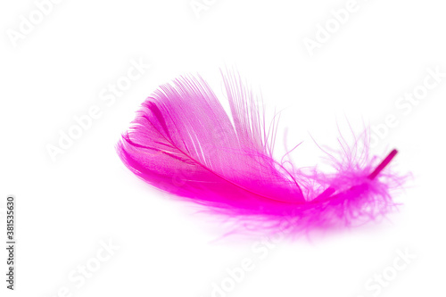 Pink feather texture on white background