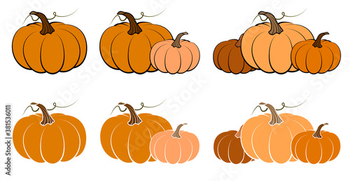 orange pumpkin fruit set. Autumn harvest. Autumn Halloween pumpkins. Edible plants. Isolated vector on white background in flat style