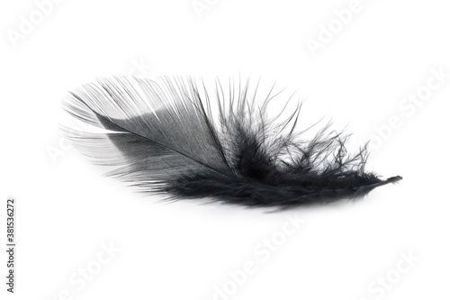 black feather texture