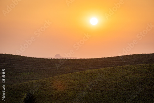 sunset over the vineyard