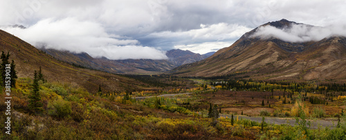 Beautiful Panoramic View of Colourful Fall Forest and Mountains in Tombstone on a Cloudy Morning. Tombstone Territorial Park  Yukon  Canada. Nature Background Panorama