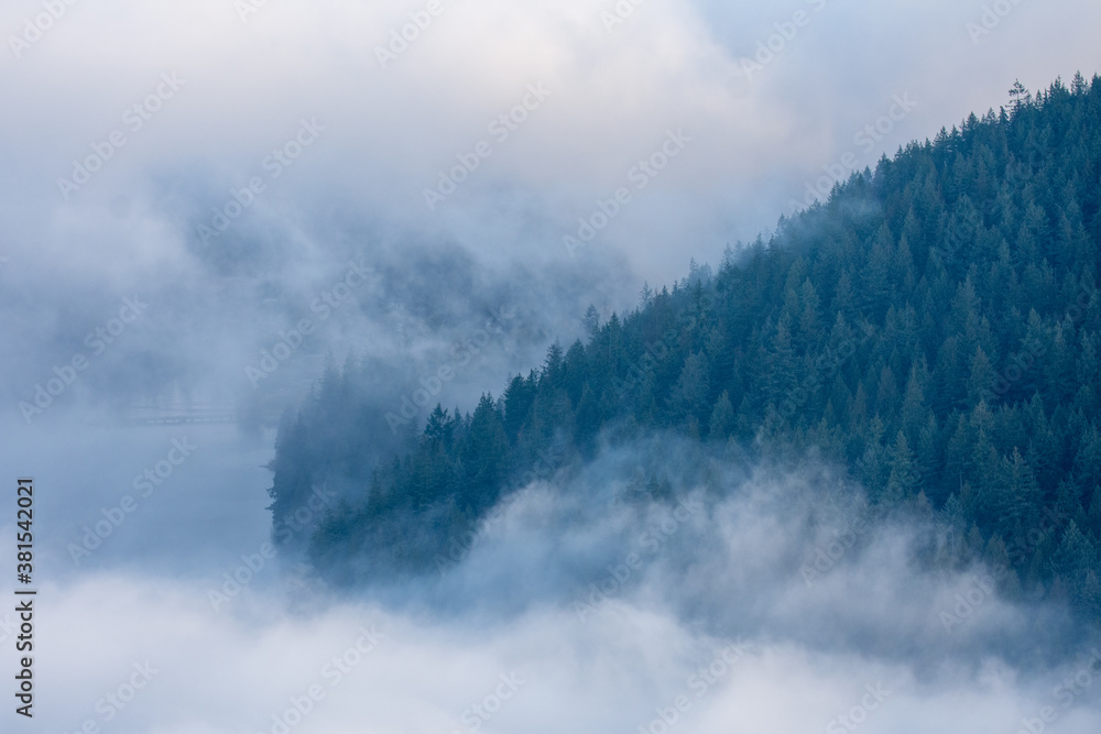 A picture of forest and sea of clouds on a misty morning. Burnaby BC Canada
A picture of forest and sea of clouds on a misty morning. Burnaby BC Canada