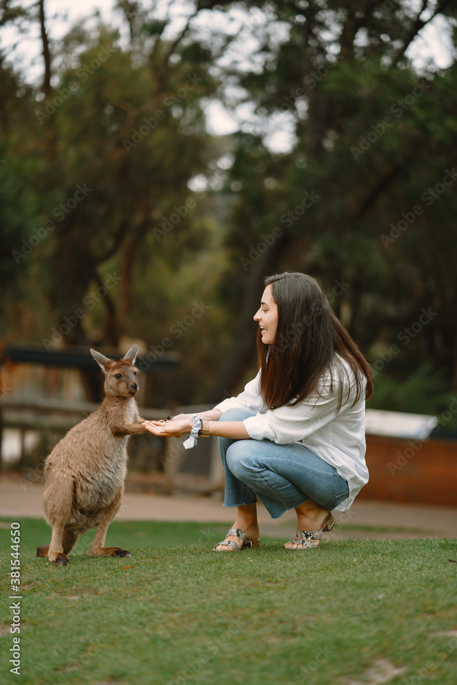 Woman at the reserve in Australia playing and feeding kangaroos