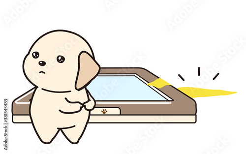 便器からはみ出しておしっこをしてしまった子犬　ラブラドールレトリーバー