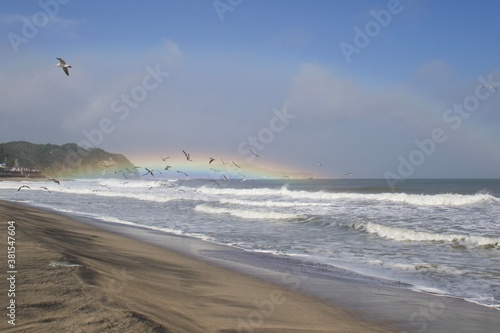 Seagulls flying towards a rainbow on the beach in Japan. There are waves breaking in the Pacific Ocean just off the coast of Chiba Japan.