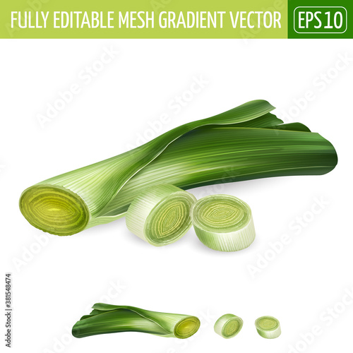 Fresh sliced leek illustration on white background.