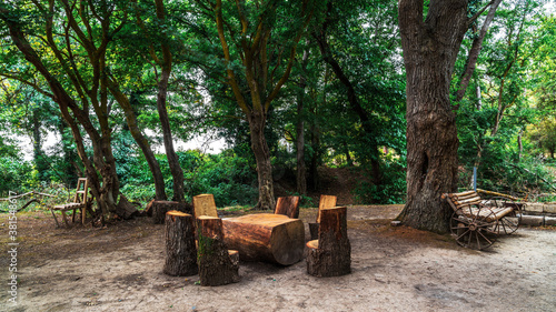 Picnic site with wooden table and benches in forest